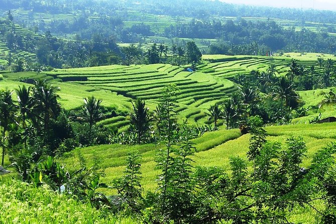 Jatiluwih in Detail (1 H. E-Bike Tour in the Rice Terraces) - Additional Information