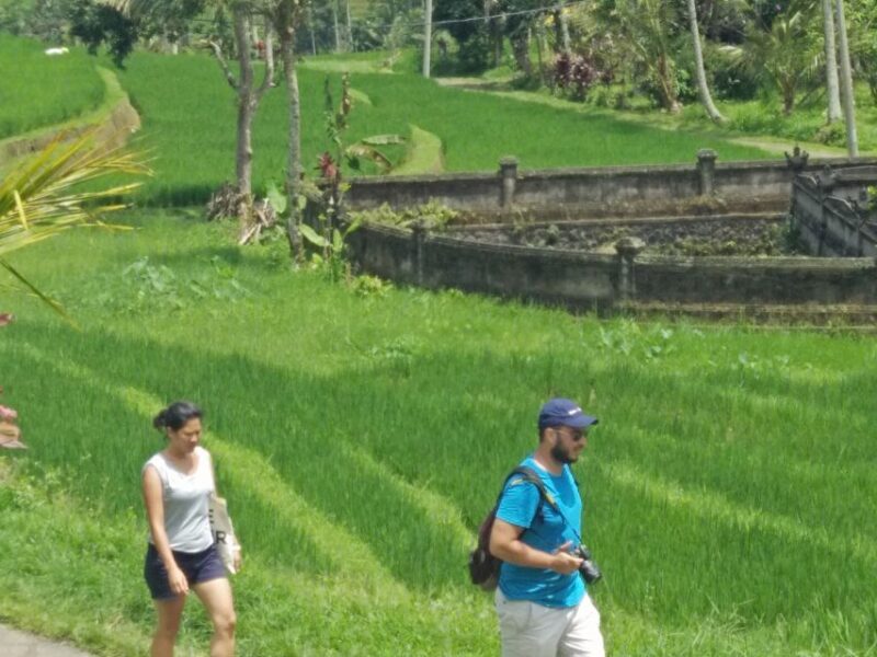 Jatiluwih Off-The-Beaten Path Trekking With Lunch - Activity Overview