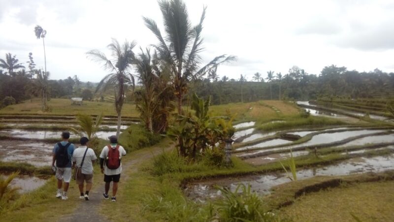 Jatiluwih Off-The-Beaten Path Trekking With Lunch - Frequently Asked Questions