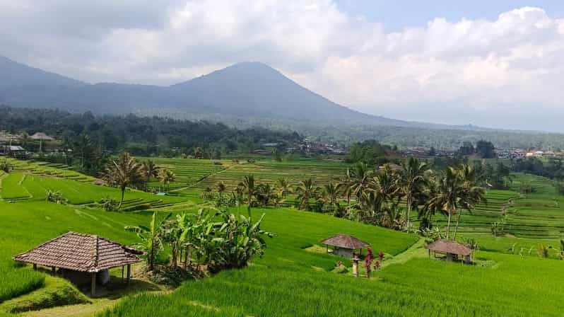 Jatiluwih Rice Fields Walking Tour and Natural Hot Spring - Inclusions