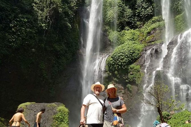 Jatiluwih Rice Terraces,Ulundanu and Sekumpul Waterfall Trips - Tour Features