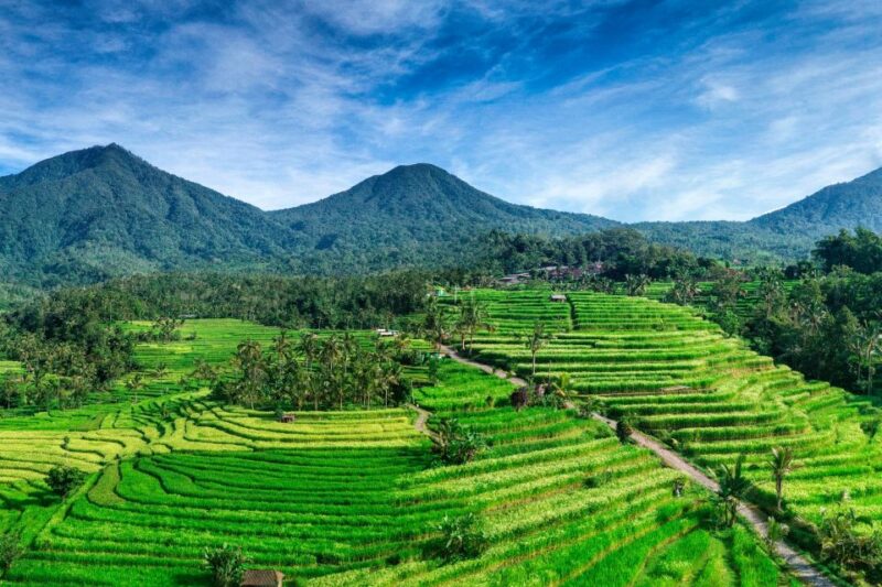 Jatiluwih (UNESCO Site) 2-Hour E-Bike Cycling Tour - Key Points