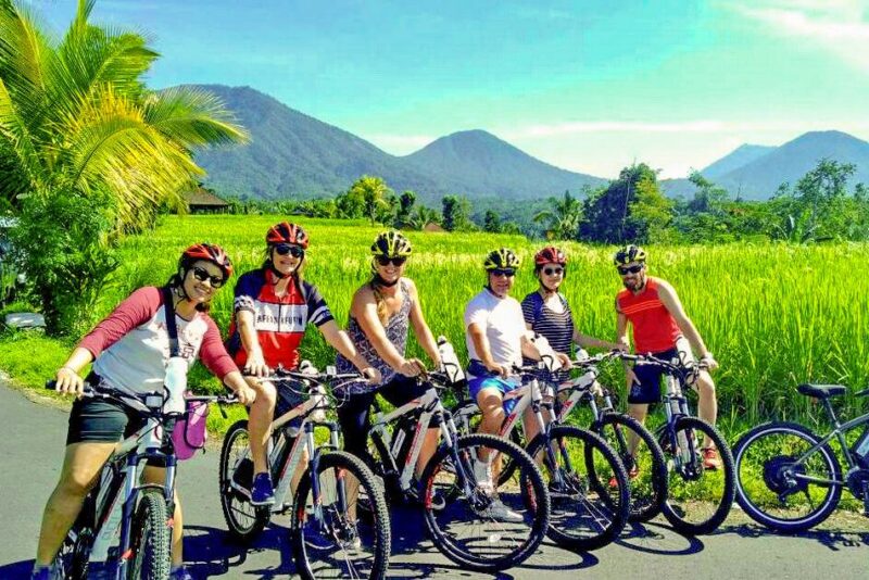 Jatiluwih (UNESCO Site) 2-Hour E-Bike Cycling Tour - Inclusions