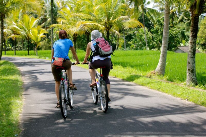 Jatiluwih (UNESCO Site) 2-Hour E-Bike Cycling Tour - What to Bring