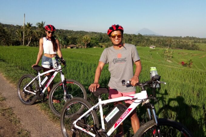 Jatiluwih (UNESCO Site) 2-Hour E-Bike Cycling Tour - Customer Reviews Summary