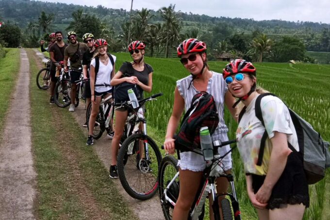 Jatiluwih (UNESCO Site) 2-Hour E-Bike Cycling Tour - Batukaru Temple Location