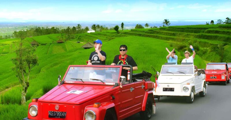 Jatiluwih VW Safari Bali Tour - Key Points