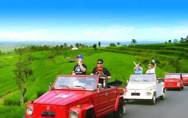 Jatiluwih VW Safari Bali Tour - Inclusions
