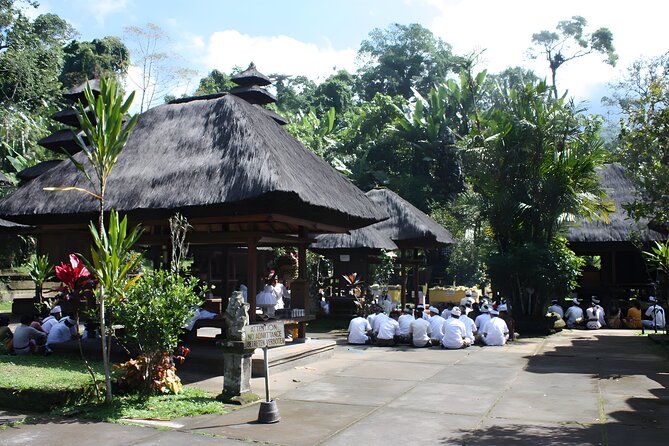 Jatiluwih VW Safari Bali Tour - Volkswagen Classic Car Trip - Other Bali Tour Options