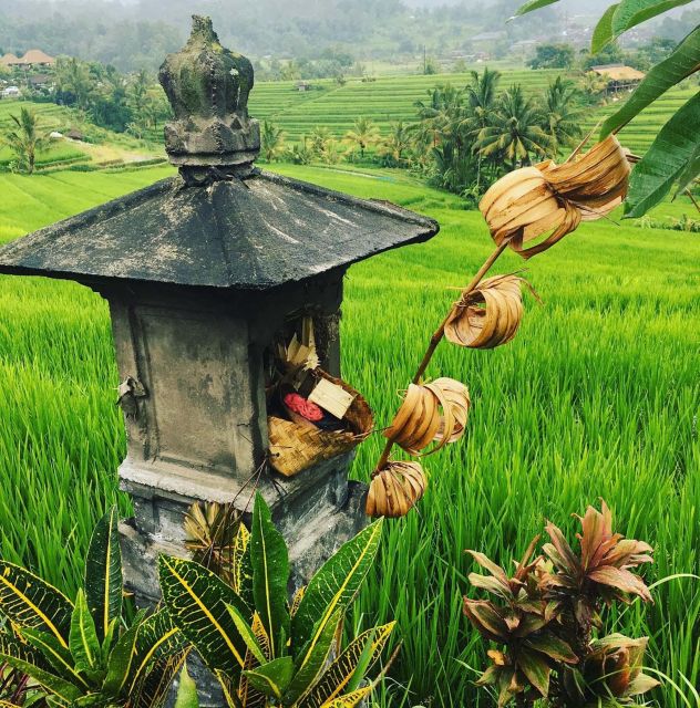 Jatiluwihs Rice Field Terraces: A Scenic Self-Guided Audio - Key Points