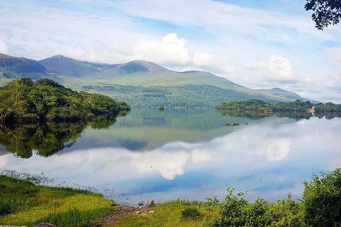 Jaunting Car Tour to Ross Castle From Killarney - Meeting and Drop-off Locations