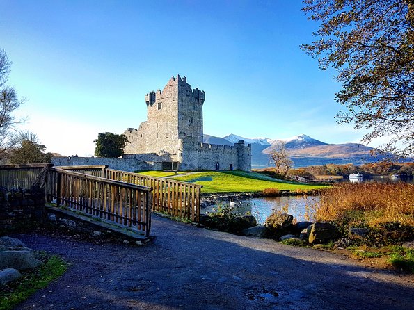 Jaunting Car Tour to Ross Castle From Killarney - Private Tour Experience