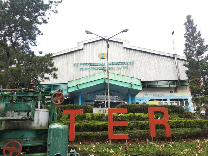 Java Classic Overland Tour - Attractions and Activities