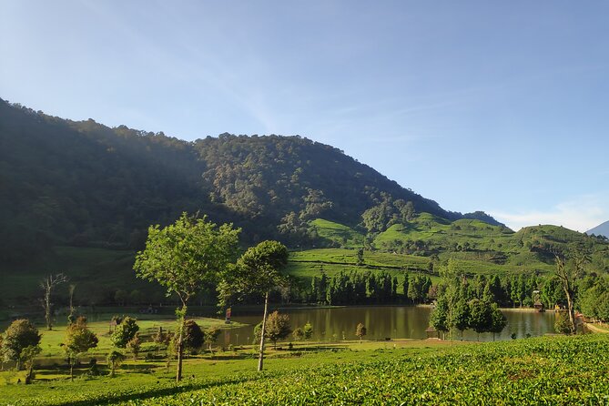 Java Trip From Jakarta - Tour Description