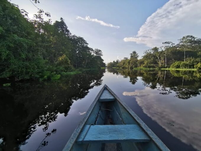 Javari Expedition - Customer Feedback Highlights