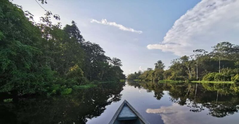 Javari Expedition - Key Points