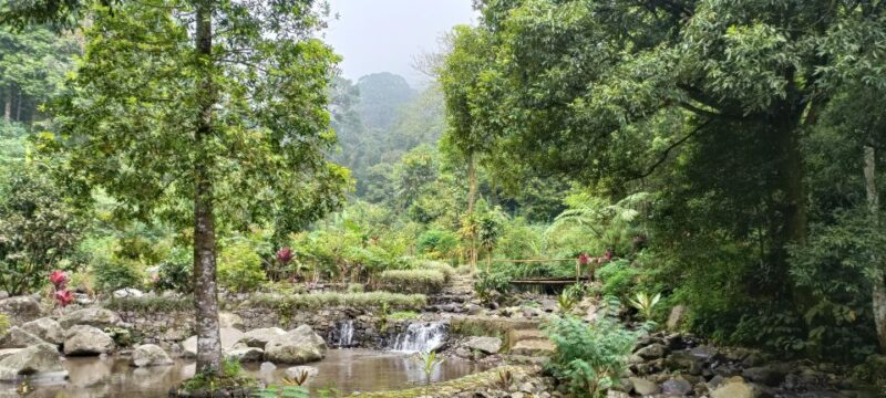 Javas Uncrowded Secret Natural Wonders: 2-D All Inclusive - Activities and Experiences