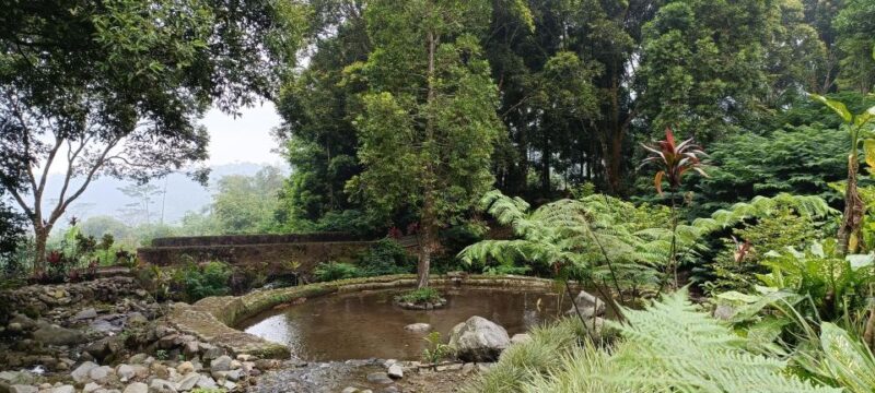 Javas Uncrowded Secret Natural Wonders: 2-D All Inclusive - Meeting Point and Requirements