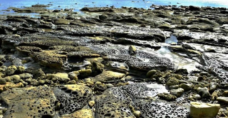 Jawili Day Tour (Private Tour) - Inclusions