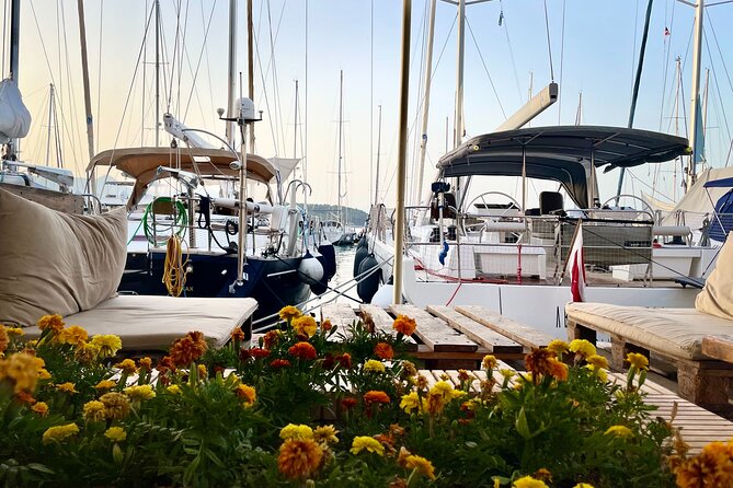 Jazz in the Heart of Corfu | Live Jazz Music in the Vineyard - Wine Selection From the Vineyard