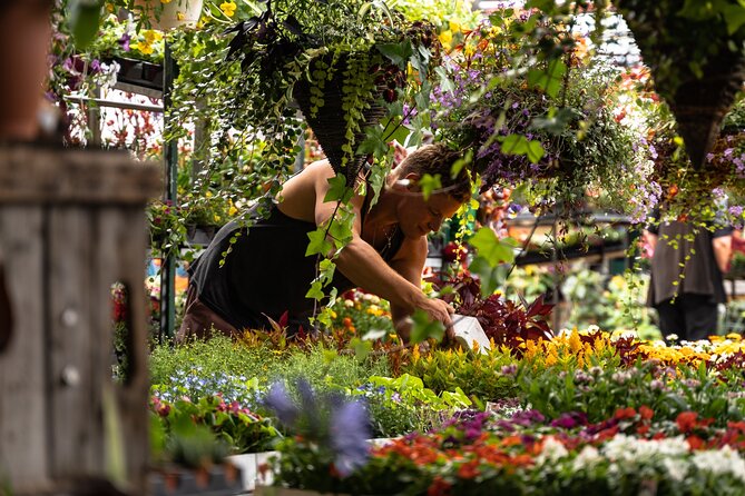 Jean-Talon Market & Little Italy Small Group Walking Tour - Guided by Dynamic Hosts