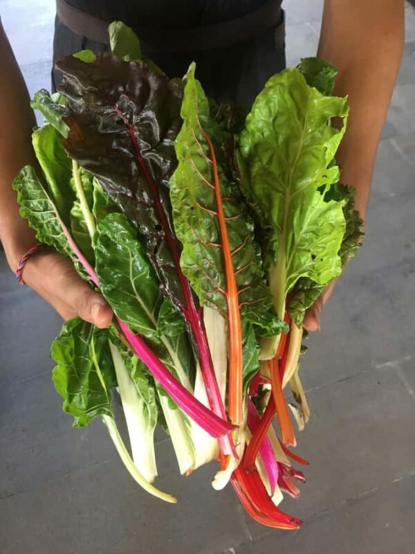 Jean Talon Market Walking Tour x Michelin-Trained Chef - Key Points