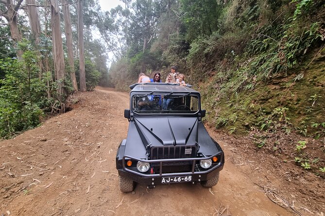 Jeep 4x4 Full Day West, Porto Moniz, Skywalk, Natural Swimming Pools, Waterfalls - Exploring Local Villages and Old Roads