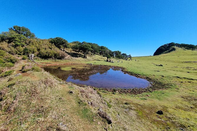 Jeep 4x4 Full Day West, Porto Moniz, Skywalk, Natural Swimming Pools, Waterfalls - Lunch Included in the Tour