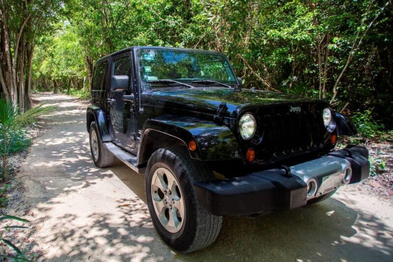 Jeep Adventure Cozumel Island and San Gervasio Mayan Ruins - Important Considerations