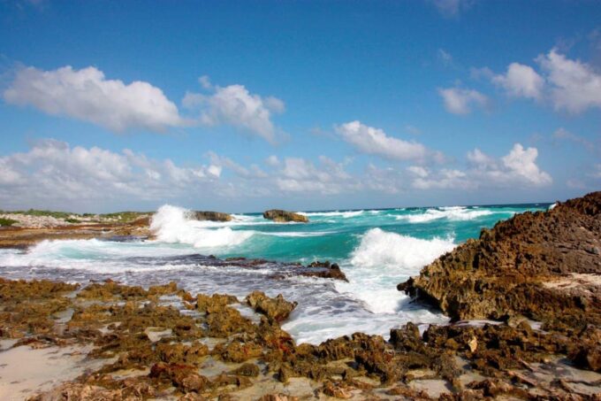 Jeep Adventure Cozumel Island and San Gervasio Mayan Ruins - Mayan Ruins Exploration