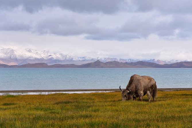 Jeep Adventure Through the Pamir Highway From Tajikistan to Kyrgyzstan - Good To Know