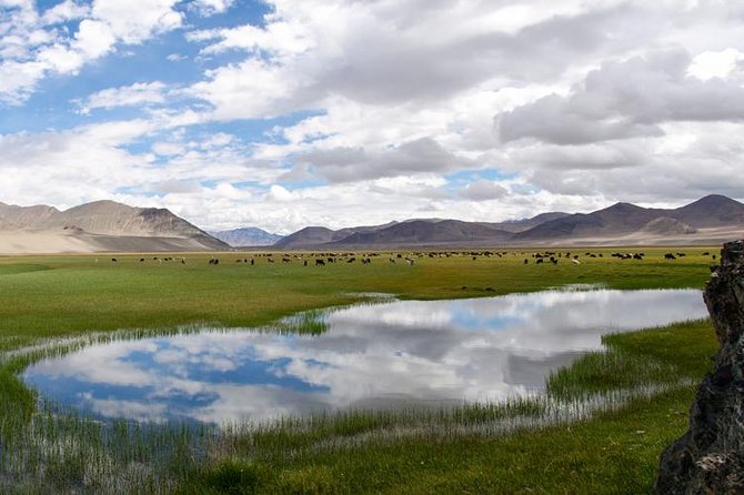 Jeep Adventure Through the Pamir Highway From Tajikistan to Kyrgyzstan - Meals and Logistical Details