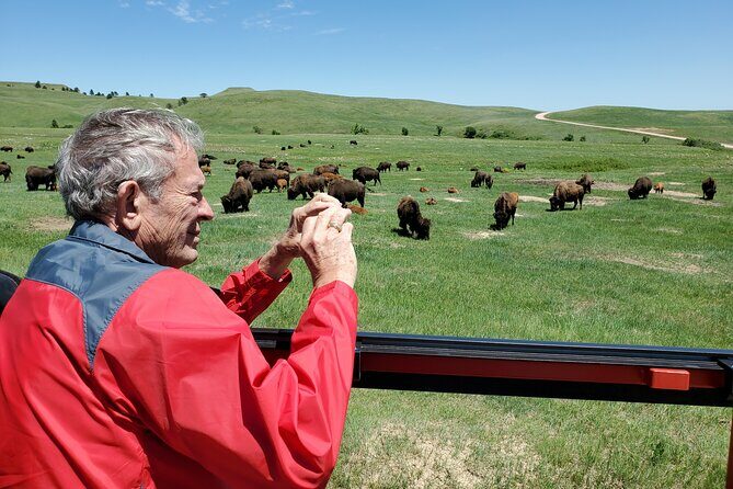 JEEP Bison Safari at Custer State Park - Family Friendly Prices - Frequently Asked Questions