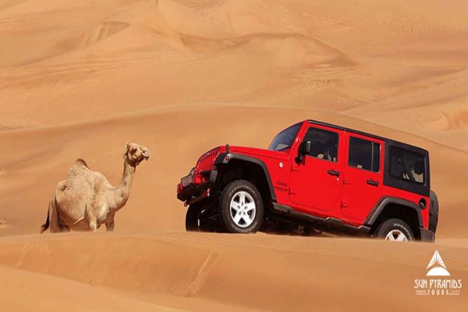 Jeep Desert Super Safari, Quad Bike, Camel Ride, Star Watching & Bedouin Dinner - Reviews