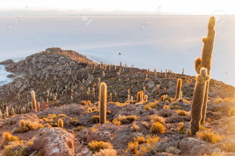 Jeep Excursion to Incahuasi Island and the Uyuni Salt Flat. - Inclusions for the Tour