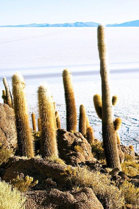 Jeep Excursion to Incahuasi Island and the Uyuni Salt Flat. - Cancellation and Booking