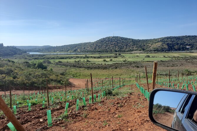 Jeep Half Day Tour of Our Algarve Coast and Mountains - Highlights of the Experience