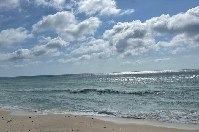 Jeep or Buggy Private VIP All inclusive - An In-Depth Look at the Cozumel Jeep Tour