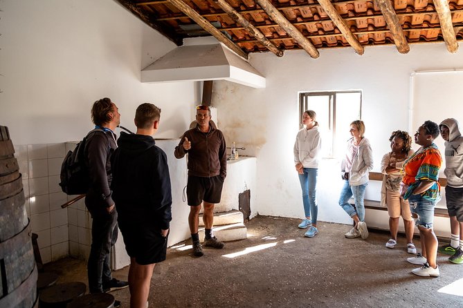 Jeep Safari #1 in Algarve - Discovering Honey-Making