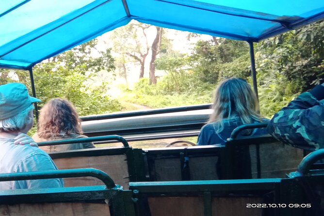 Jeep Safari (4-5 Hrs., Sharing) Inside Chitwan National Park. - Meeting and Pickup