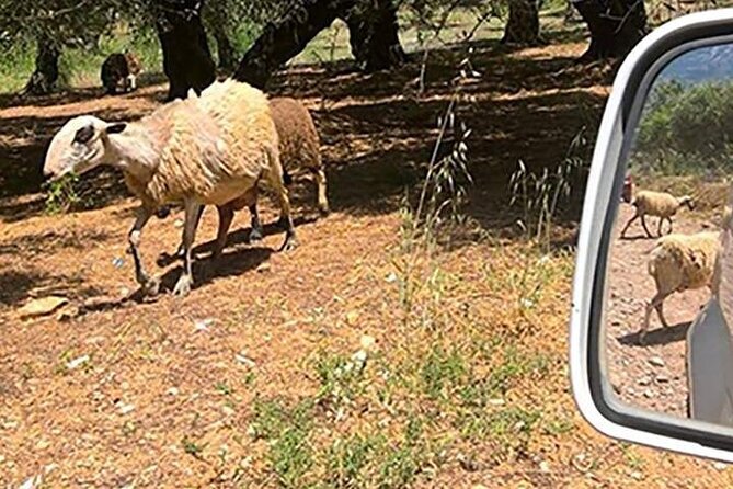 Jeep Safari 4x4 Crete Real off Road Mountain Tracks With Lunch From Hersonissos - Pickup and Drop-off Locations