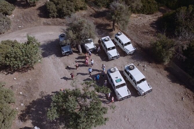 Jeep Safari Akamas Expedition From Limassol - Transportation and Logistics