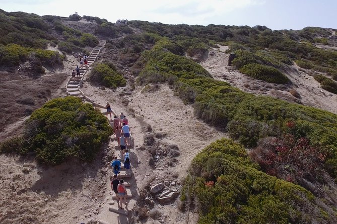 Jeep Safari Akamas Expedition From Paphos - Visiting Lara Beach and Turtle Conservation