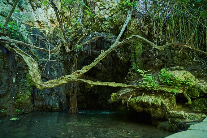 Jeep Safari Akamas Expedition From Paphos - Pickup and Transportation Details