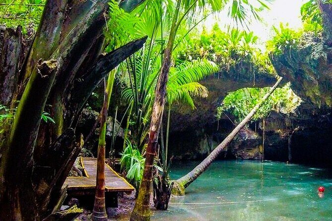 Jeep Safari All Inclusive Private Tour - Experience the Cozumel Jeep Safari All Inclusive Private Tour