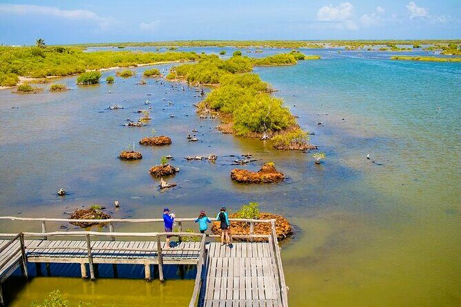 Jeep Safari All Inclusive Private Tour - Who Will Love This Tour?