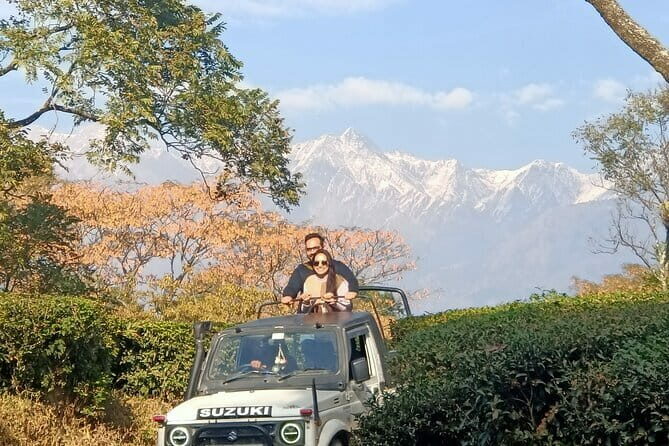 Jeep Safari and Picnic Tour - What the Tour Offers and Why It Matters