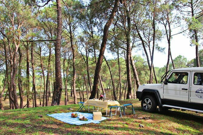 Jeep Safari and Picnic Tour - Practical Details and Tips