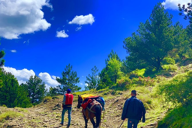 Jeep Safari Berat Hiking Caravan Mule in Tomori Holy Mount - Accessibility and Recommendations