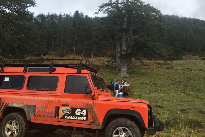 Jeep Safari Daily Tour - Authentic Experiences